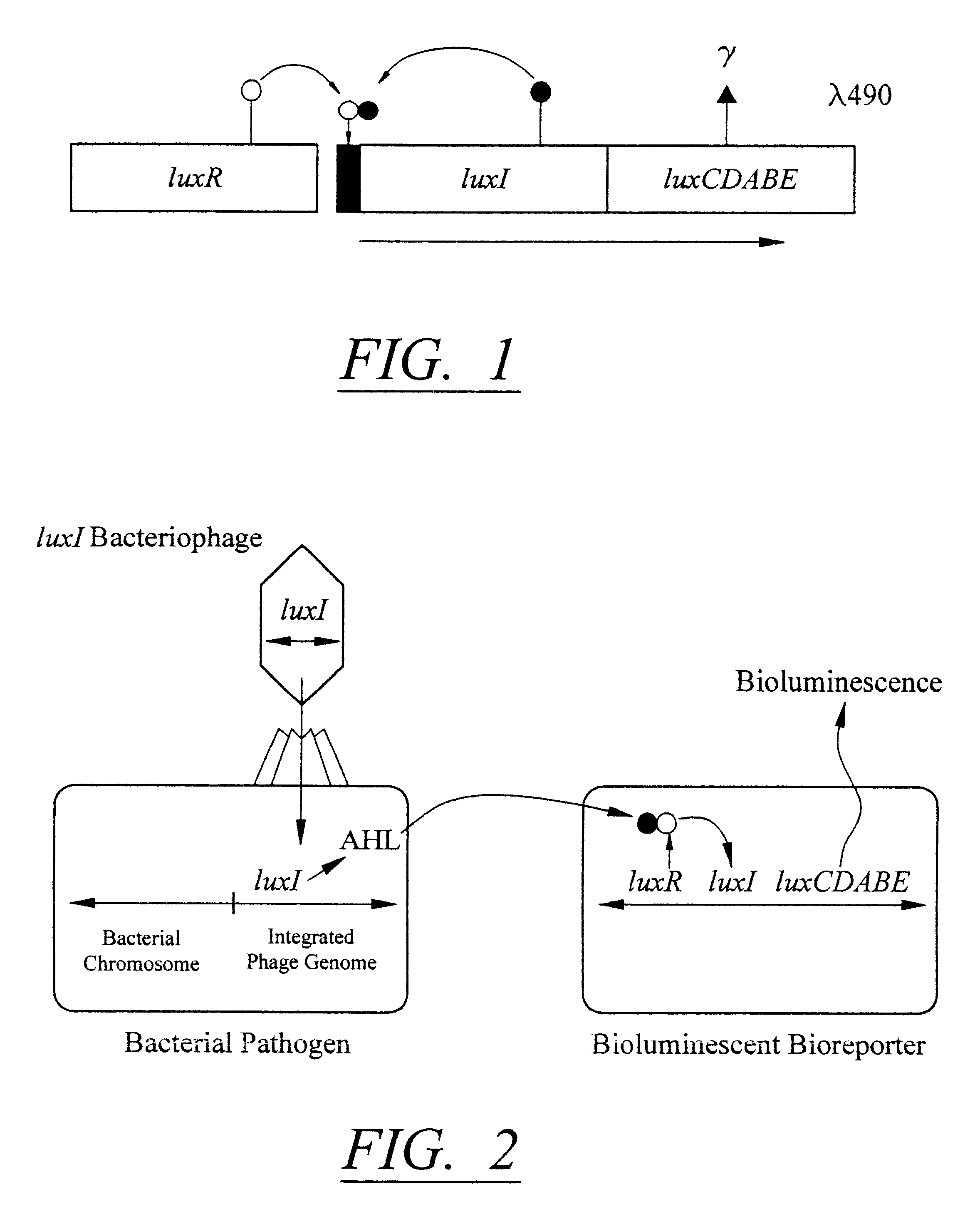 Bioluminescent biosensor device