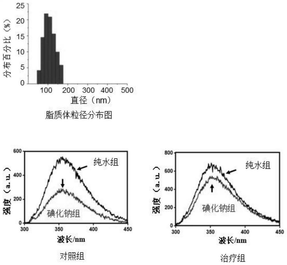 An immunomodulatory microsphere preparation targeting tumor-associated macrophages and its preparation method and application