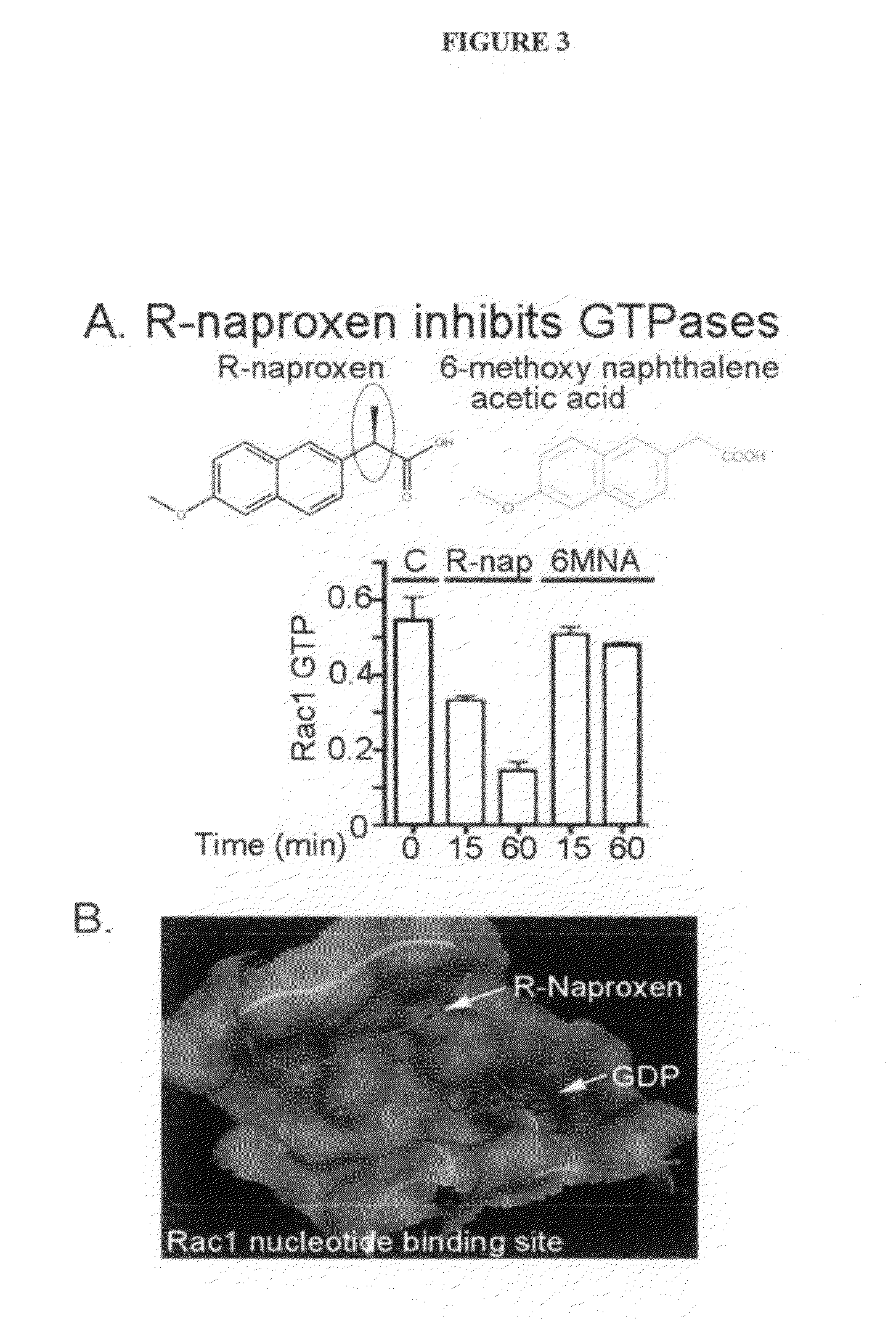 Modulators of GTPases and their use