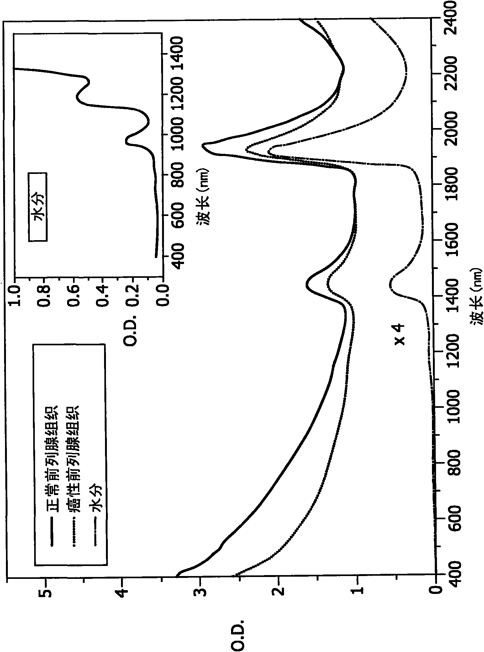 A system, device, method, computer-readable medium, and use for in vivo imaging of tissue in an anatomical structure