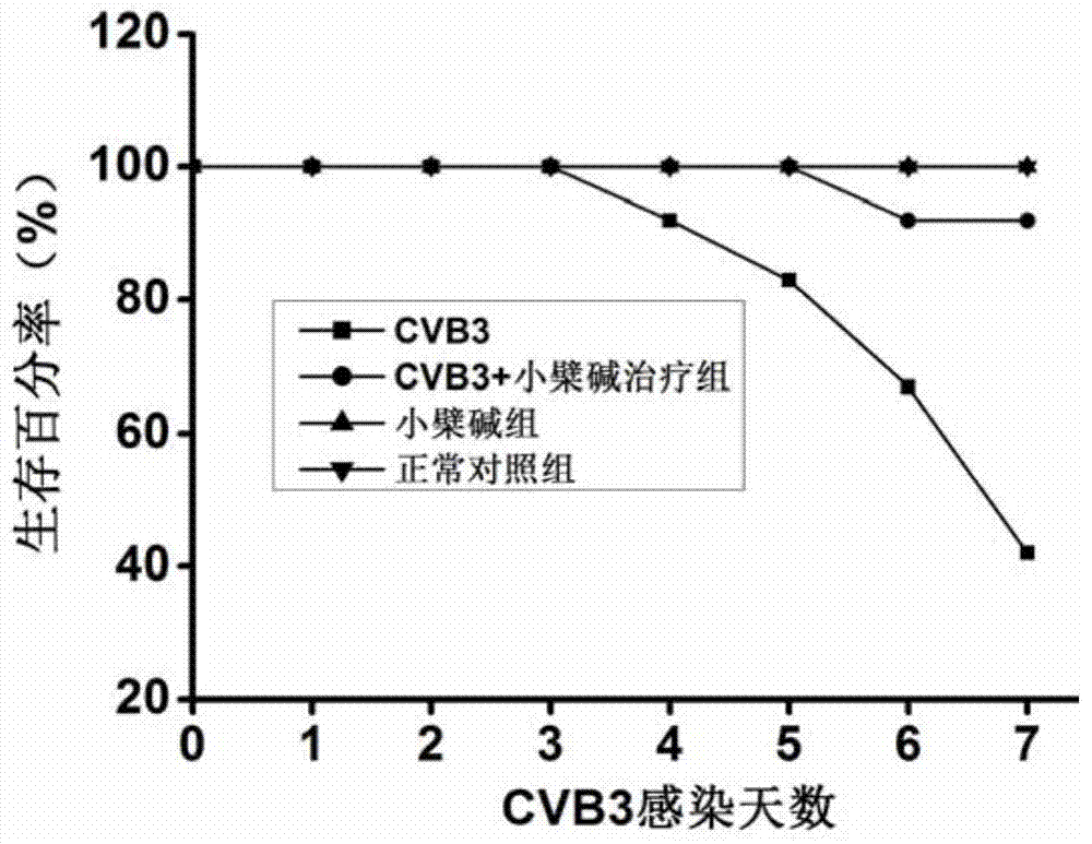 Application of berberine in preparation of drug for treating viral myocarditis diseases caused by coxsackie virus B3