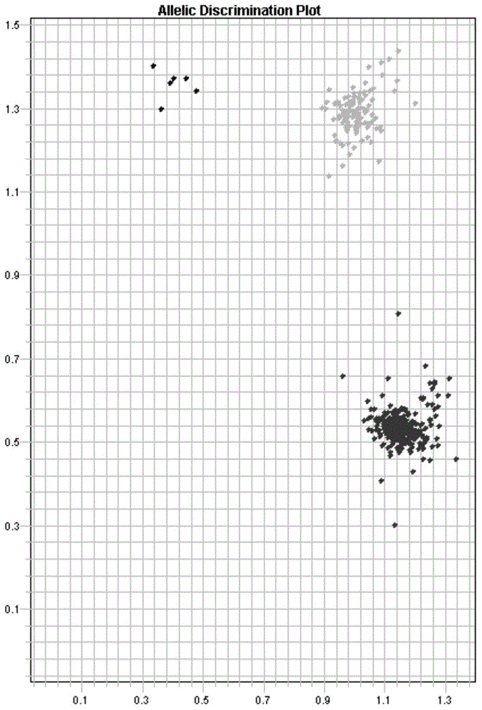 Gene single nucleotide polymorphic sites related to asthma, kit for treating asthma and application of kit