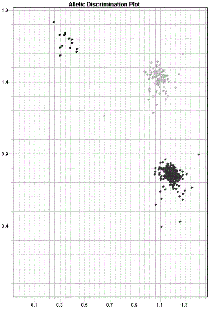 Gene single nucleotide polymorphic sites related to asthma, kit for treating asthma and application of kit