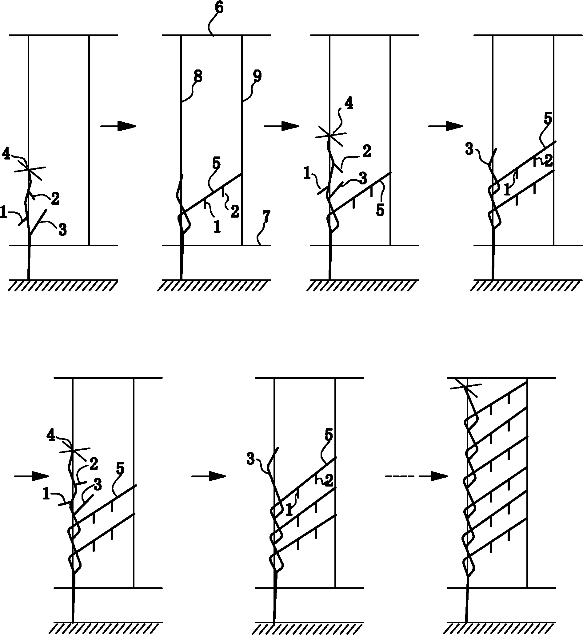 A method for pruning tomato fruiting branches