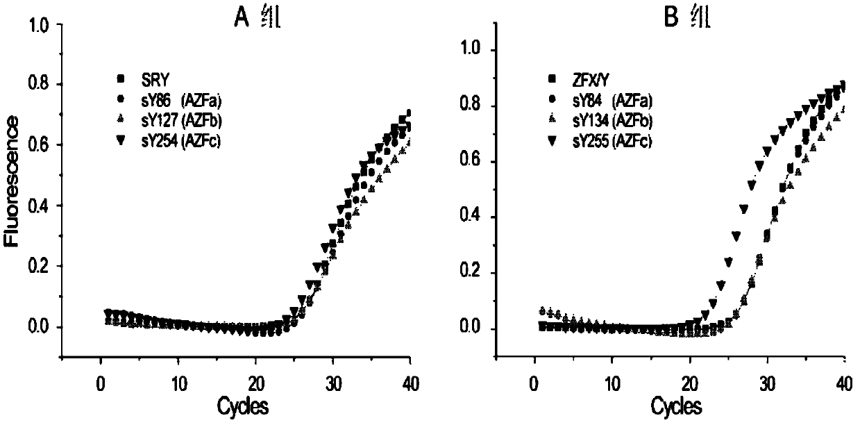 Multiple real-time fluorescent PCR detection kit for Y chromosome microdeletion