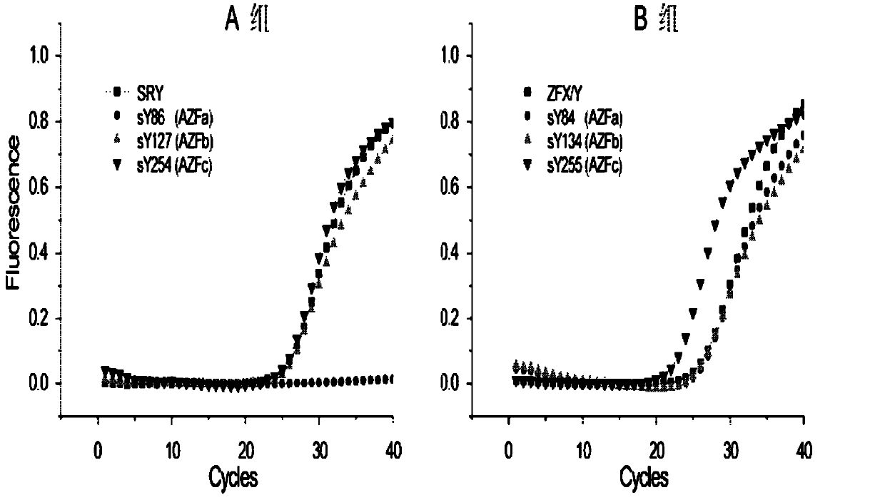 Multiple real-time fluorescent PCR detection kit for Y chromosome microdeletion