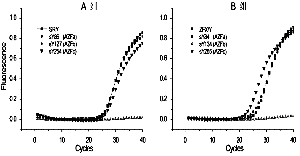 Multiple real-time fluorescent PCR detection kit for Y chromosome microdeletion