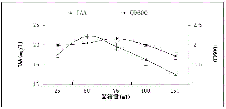 Peanut plant growth promoting bacteria HS4 and application thereof