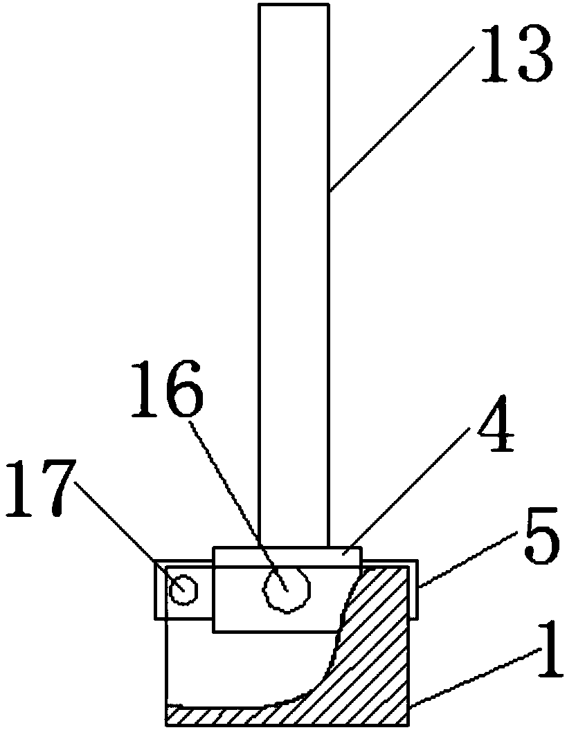 Irrigation device for horticultural cultivation