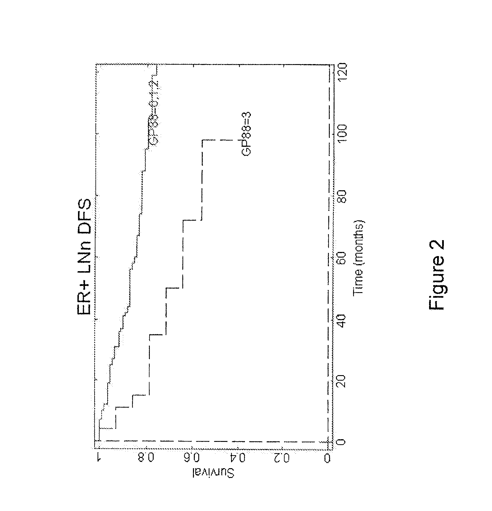 Methods for diagnosing cancer and determining the overall survival and disease-free survival of cancer patients