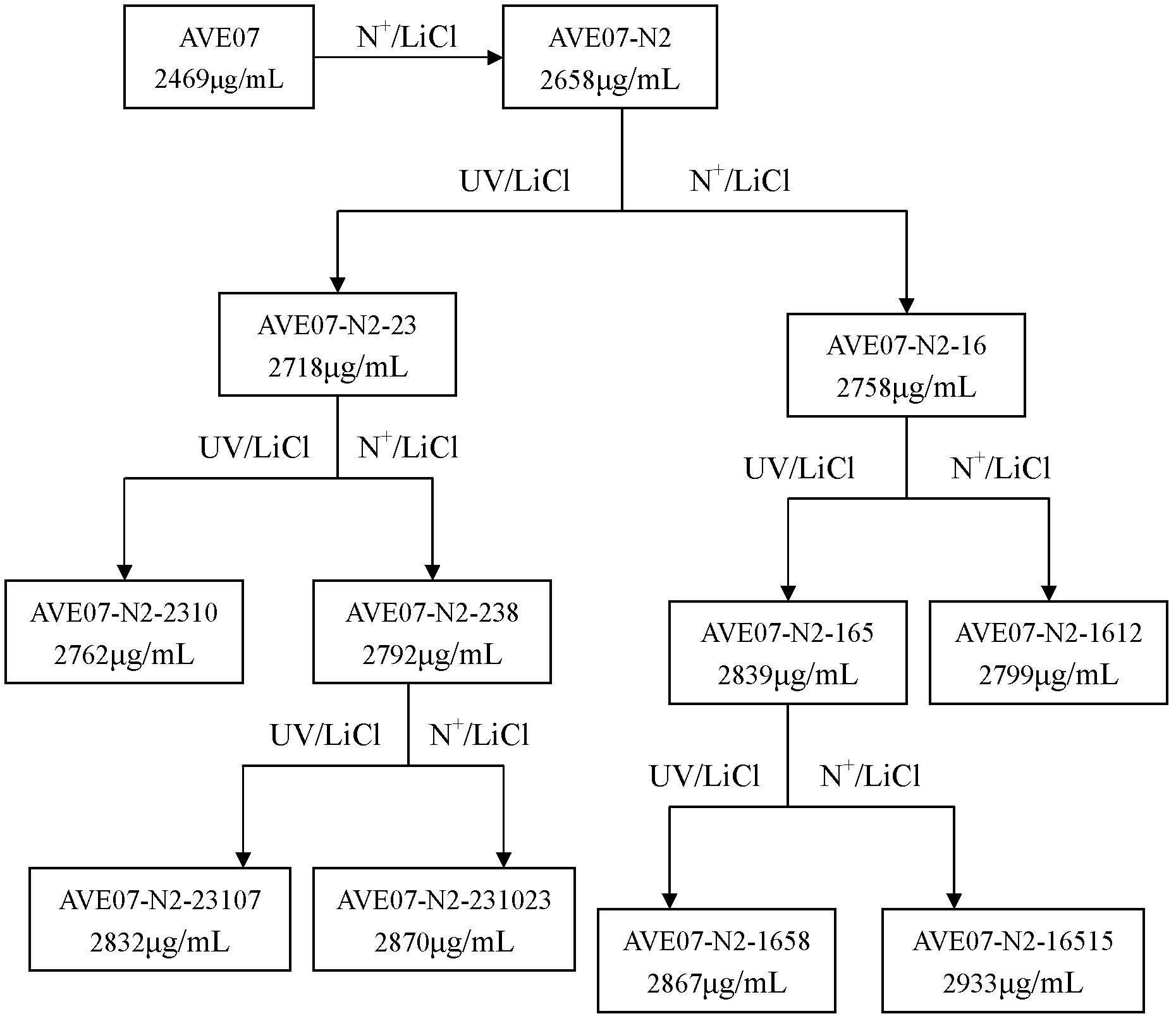 Avermectin B1a high-yielding strain and application thereof