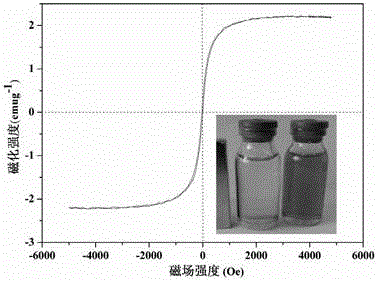 Magnetic chitosan composite microsphere surface imprinted adsorbent and preparation method thereof