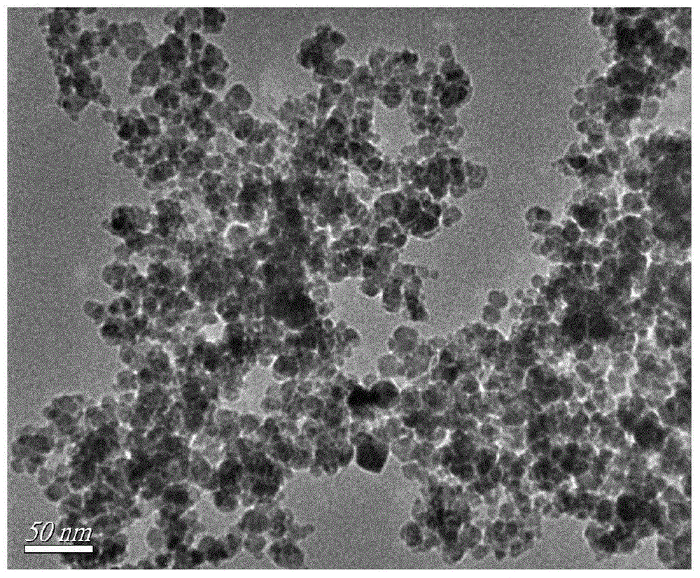 Magnetic chitosan composite microsphere surface imprinted adsorbent and preparation method thereof