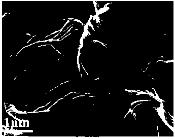 Radish-derived nitrogen-doped graded porous carbon and preparation method and application thereof