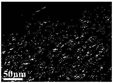 Radish-derived nitrogen-doped graded porous carbon and preparation method and application thereof