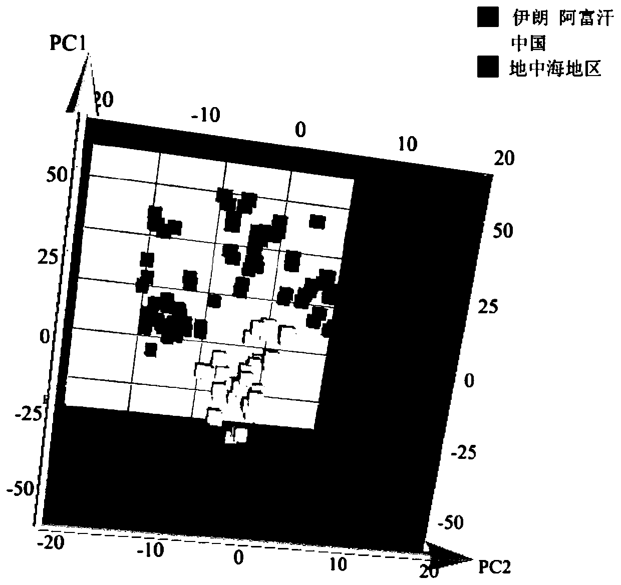 Method for tracing to production places of market saffron via ATR-FTIR in combination with RBF neural network