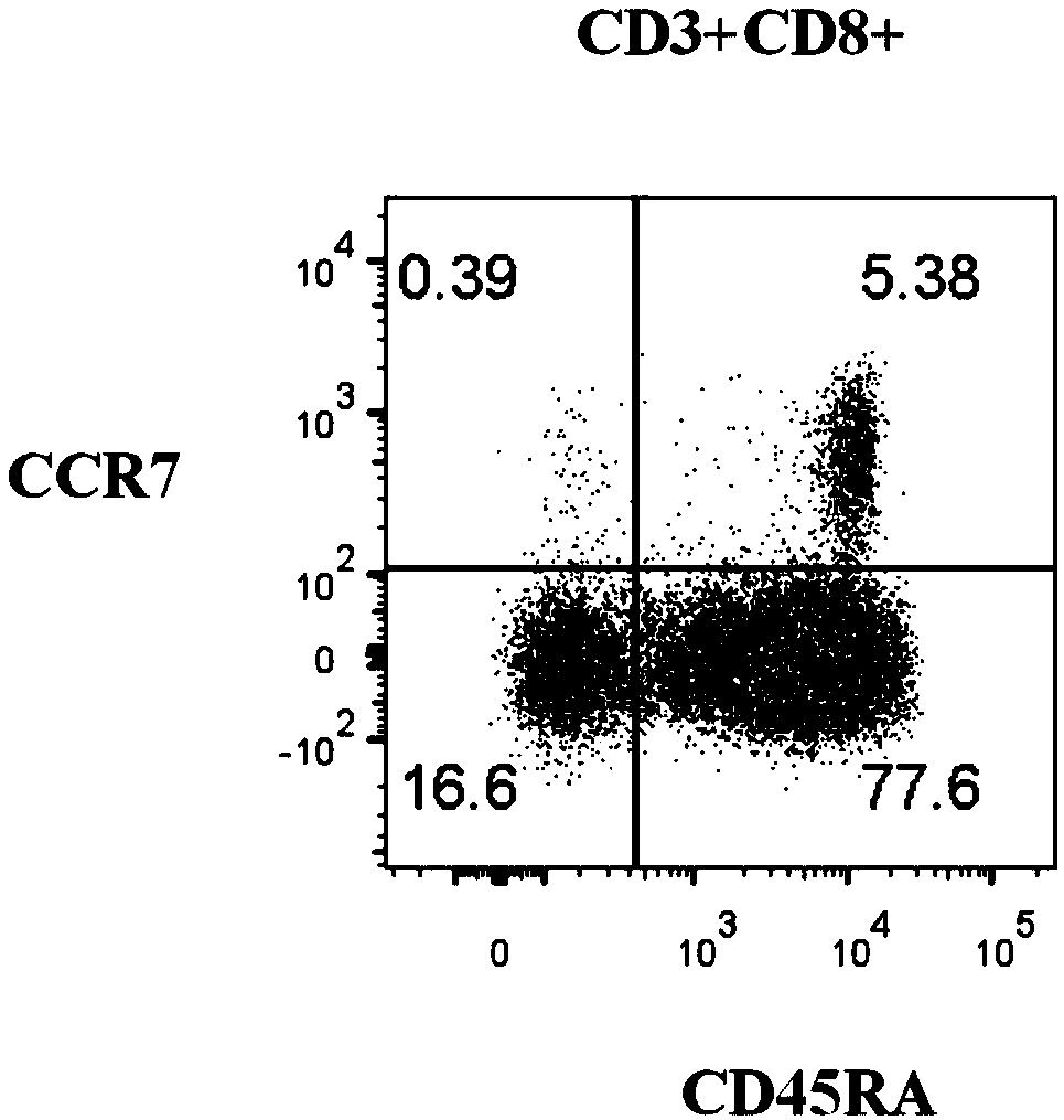 Kit for assessing function of cytotoxic immune cells in human peripheral blood and assessment method