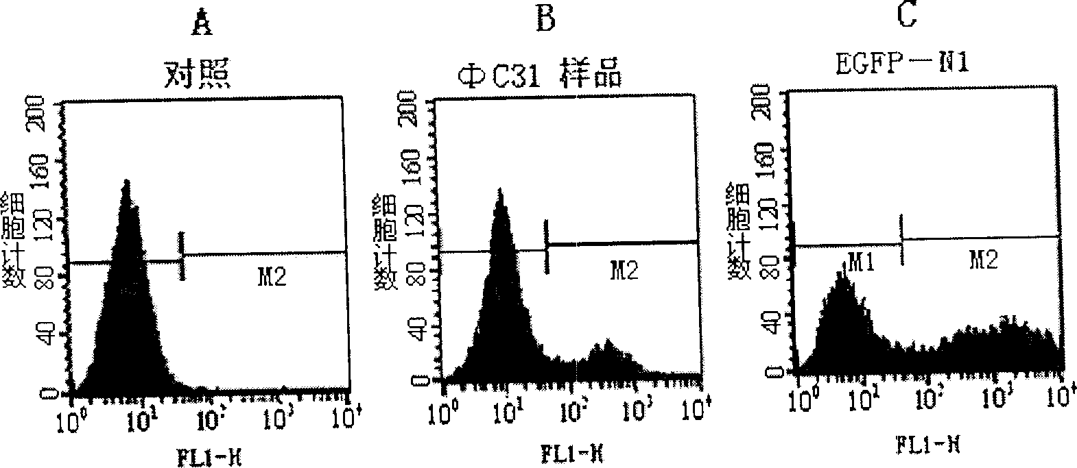 Eukaryotic cell system for detecting integrase phi-C31 functions and preparation method thereof