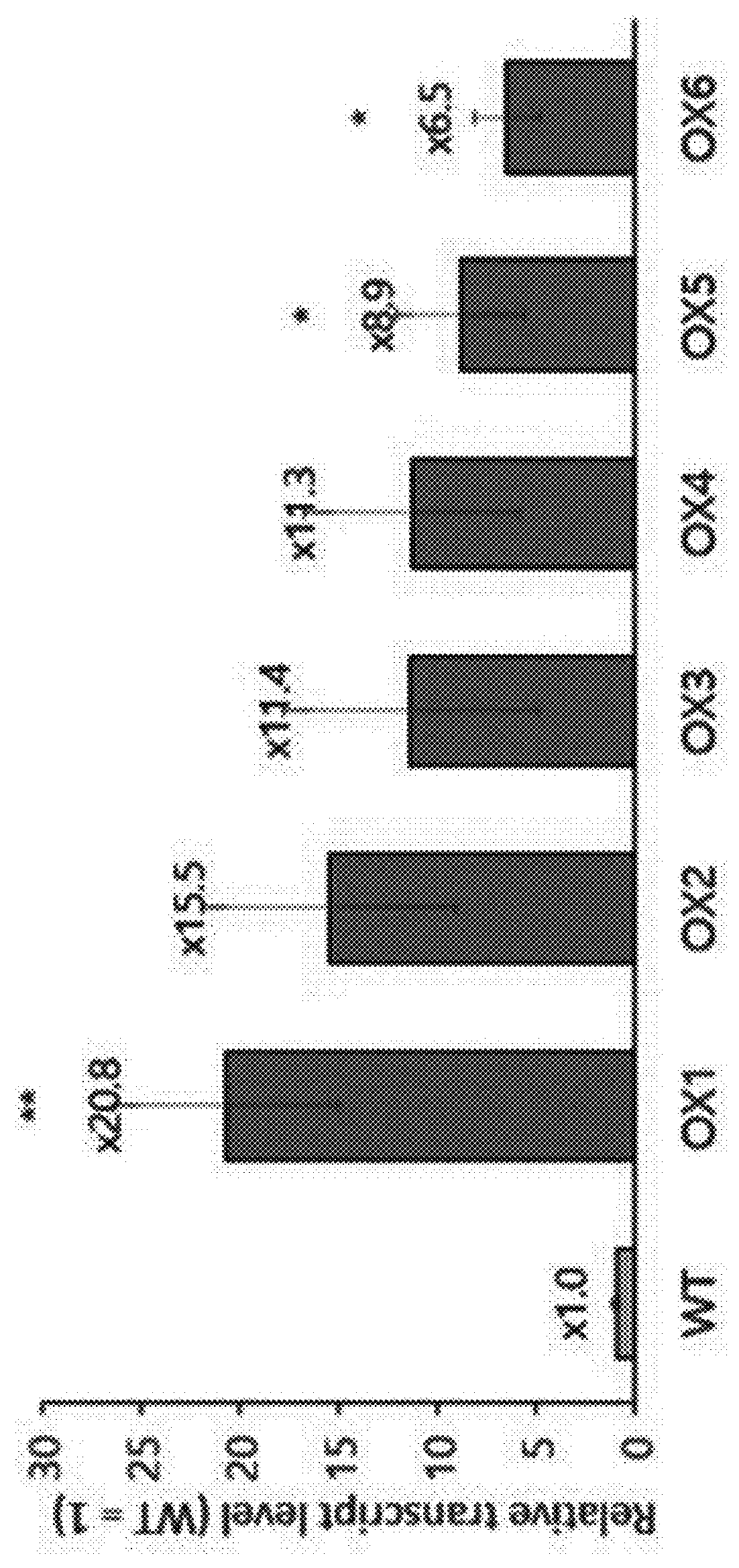 Composition, containing bass2 protein or gene encoding said protein, for increasing size of plant seeds and content of depot fat in seeds