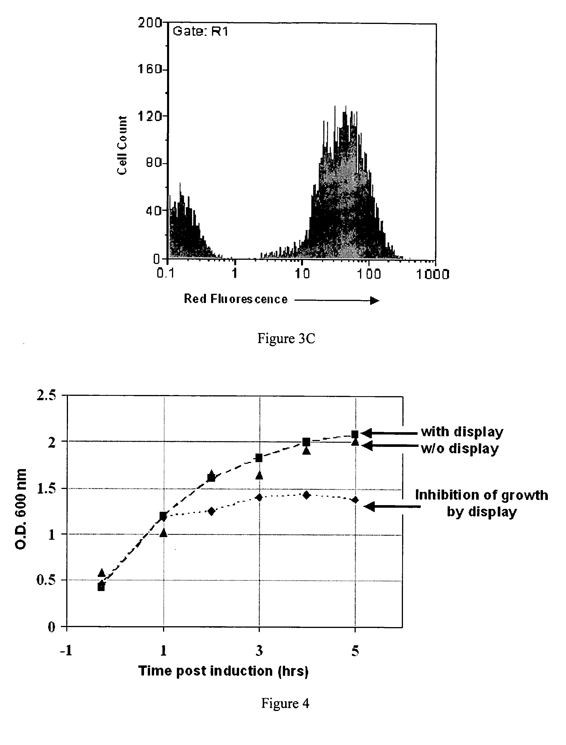 Polypeptide display libraries and methods of making and using thereof