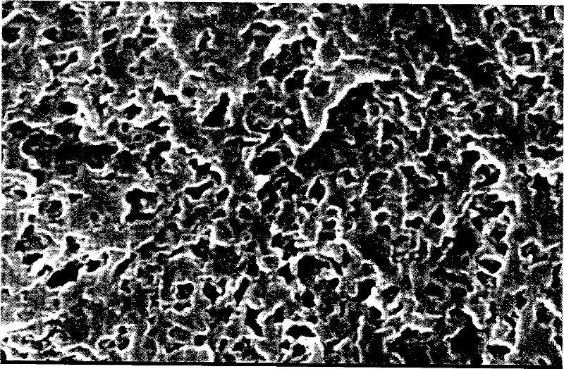 Polyvinylidene fluoride hollow fiber film and preparation method thereof