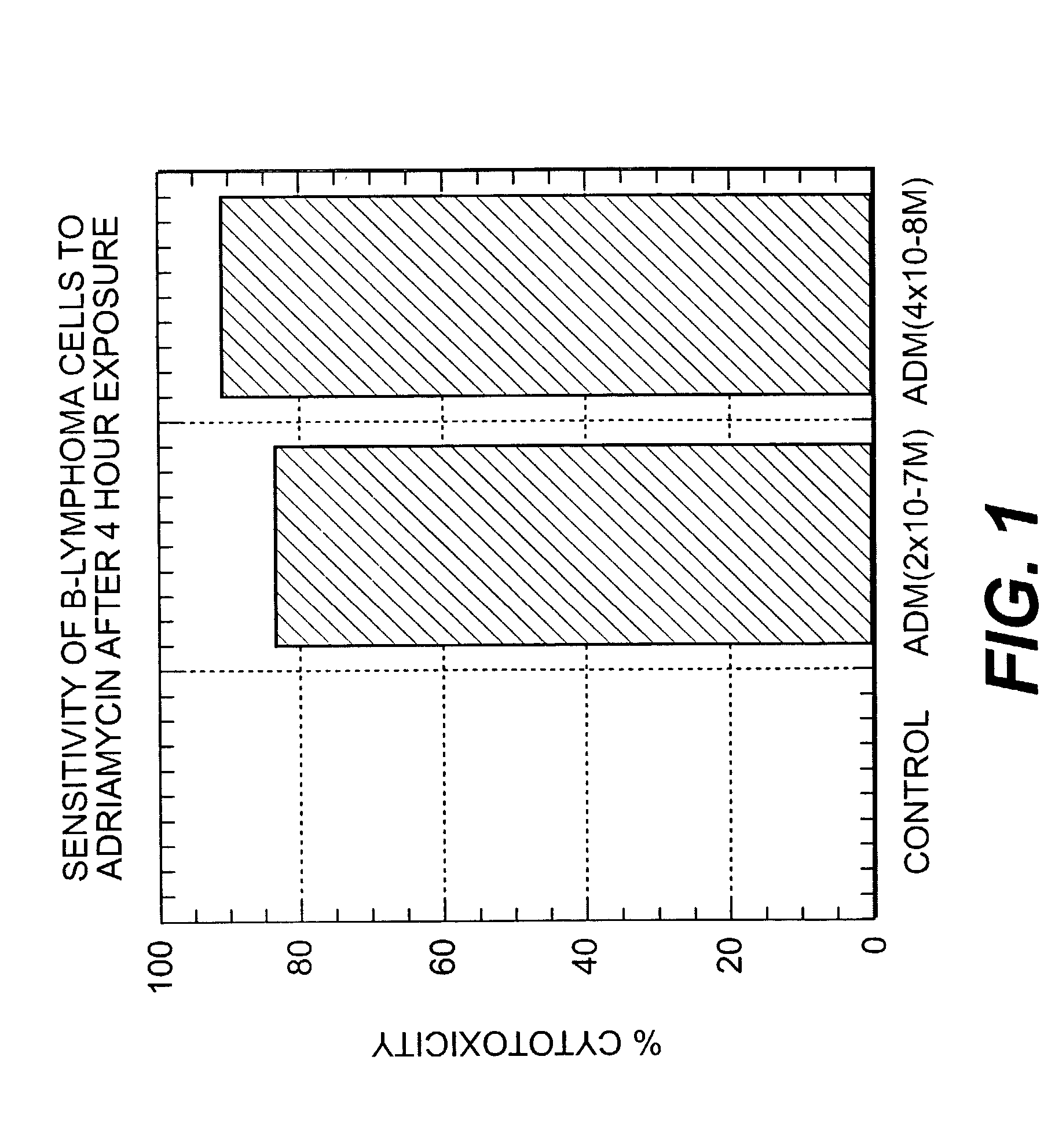 Immunoregulatory antibodies and uses thereof