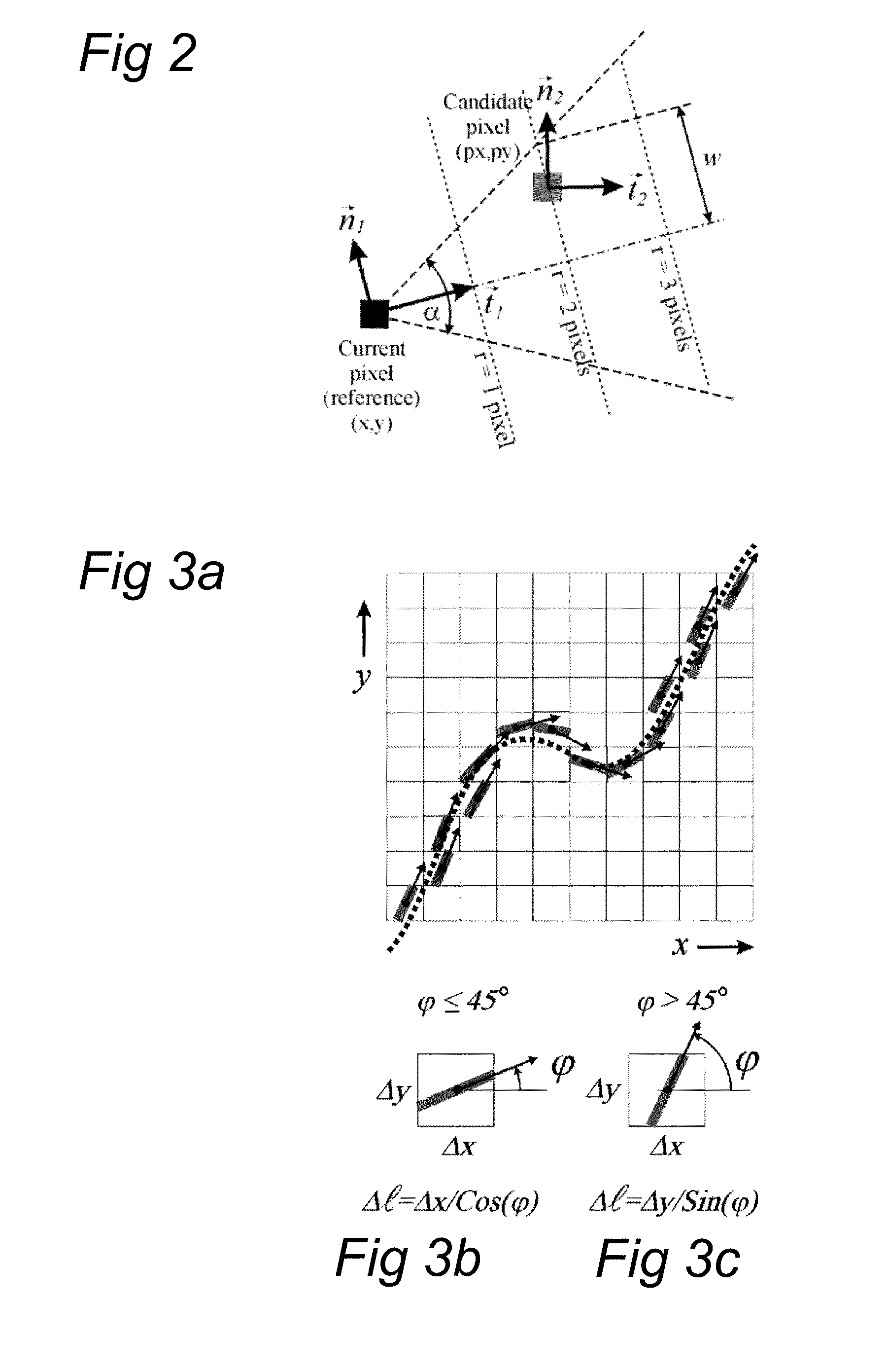 Measurement of functional microcirculatory geometry and velocity distributions using automated image analysis