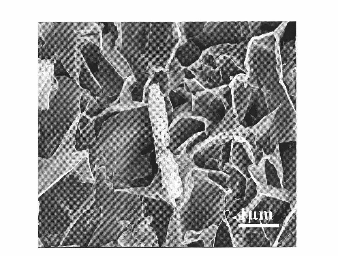 Continuous large-area zinc oxide nano-sheet and preparation method thereof