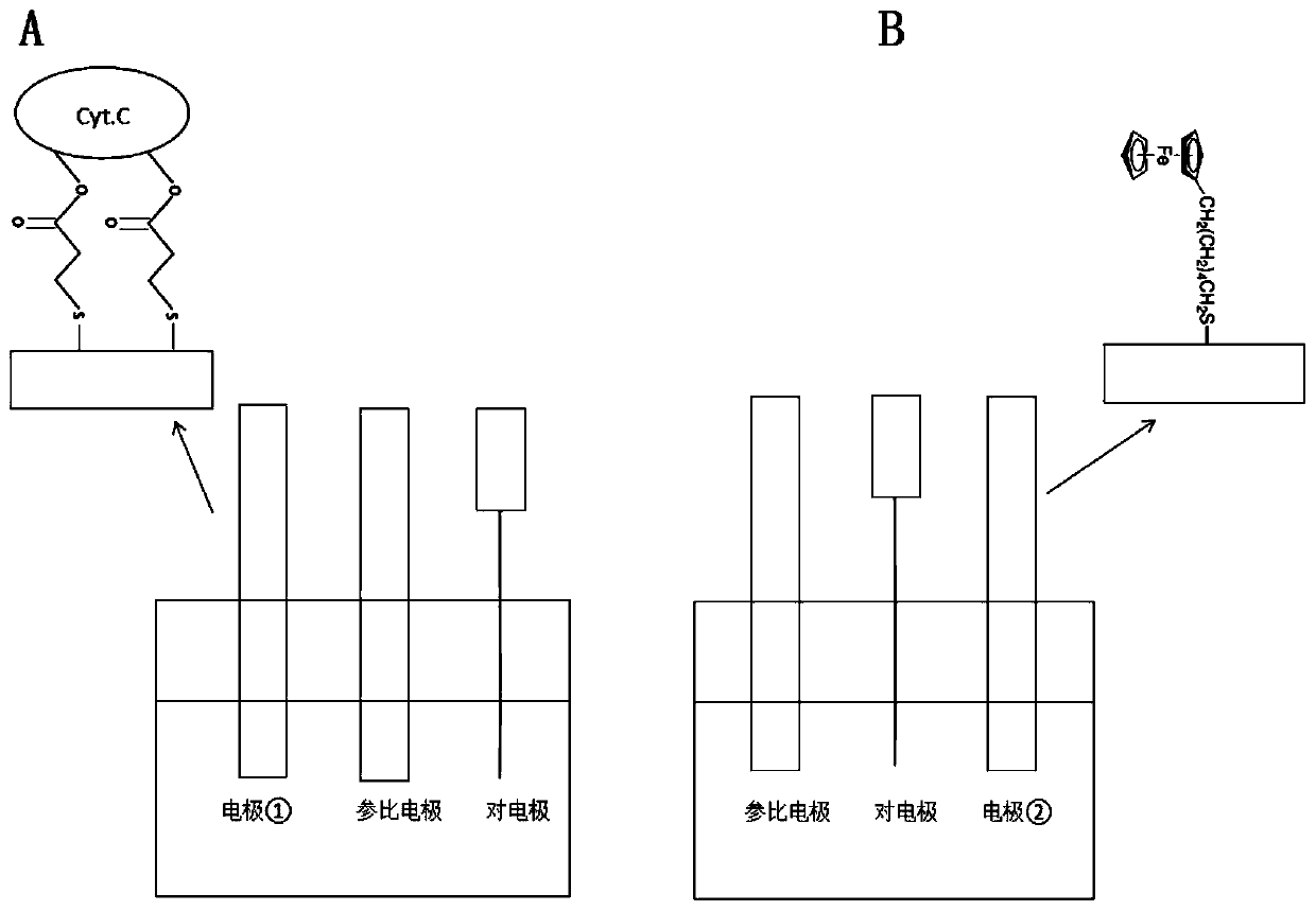 Cytochrome C based two-channel ratio type hydrogen peroxide biosensor, and preparation method and application thereof