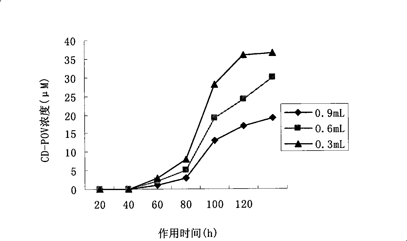 Technique for preparing tartary buckwheat sweet fermented glutinous rice