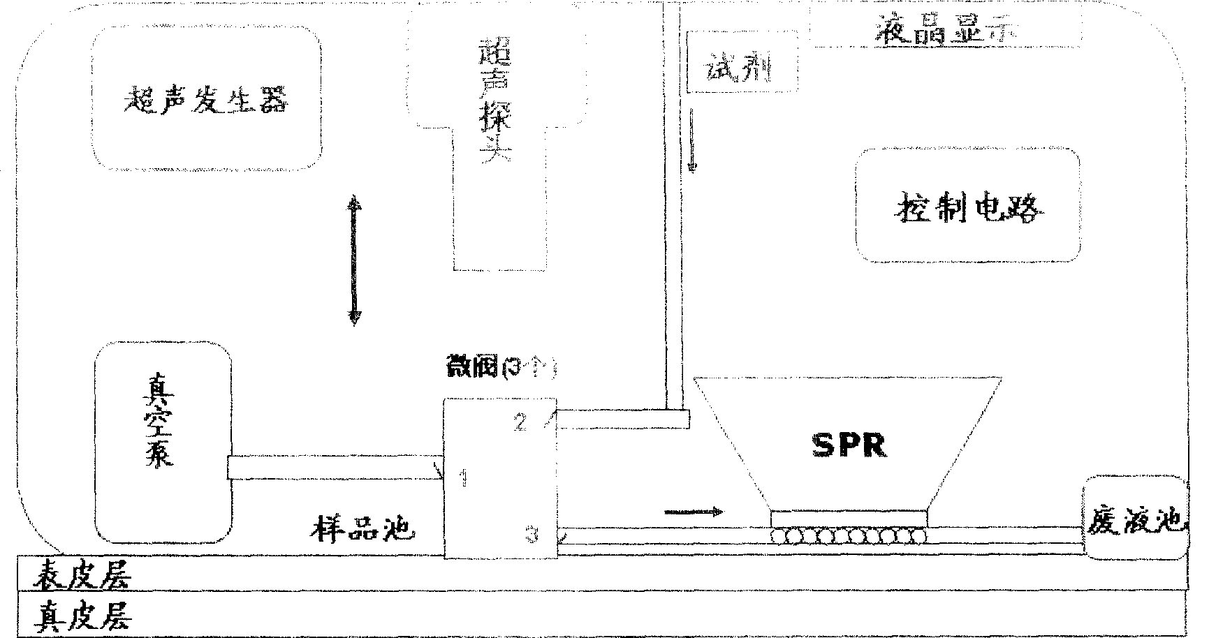 Tiny-wound, dynamic and continuous detecting method and system of concentration of sugar in human blood