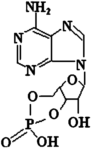 Pharmaceutical composition and preparation method of meglumine cyclic adenosine monophosphate injection powder injection