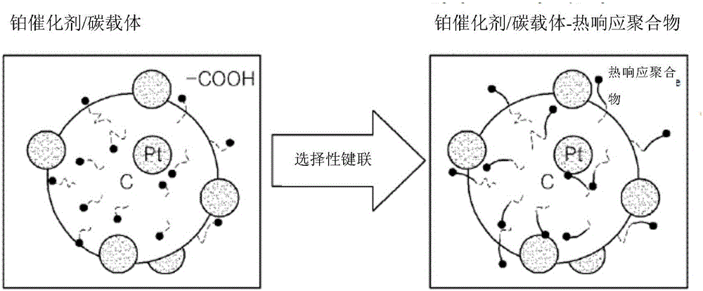 Electrode catalyst, method for preparing same, and membrane electrode assembly and fuel cell comprising same