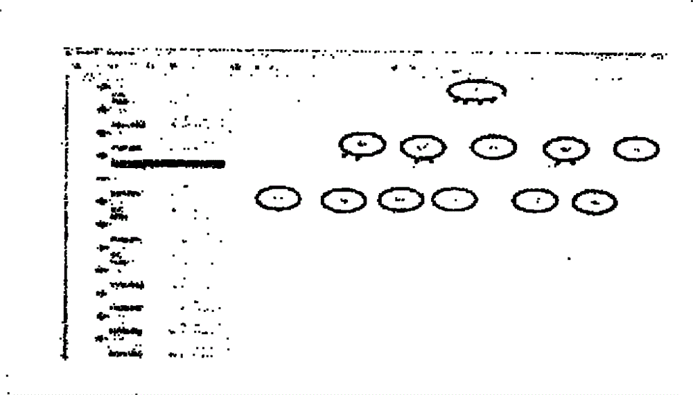 Urban natural gas pipeline failure multi-factor multi-mode probability analysis method and application thereof