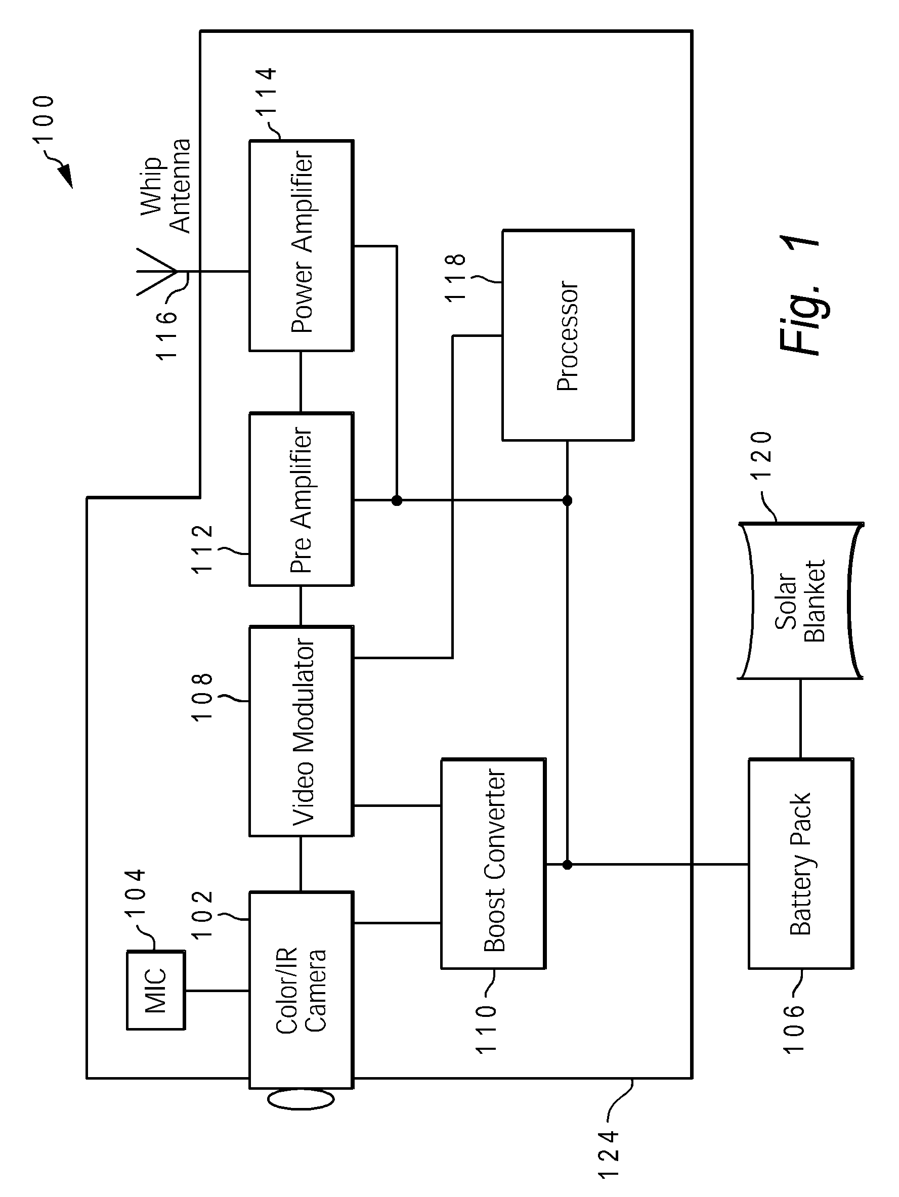 Method and apparatus for monitoring an animal in real time