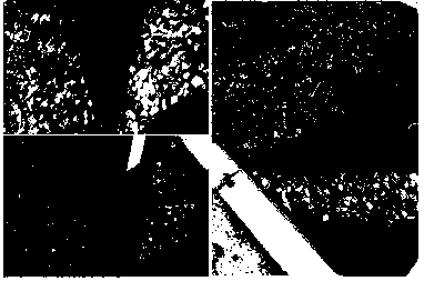 Method for adopting building waste for planting afforesting grass on roof