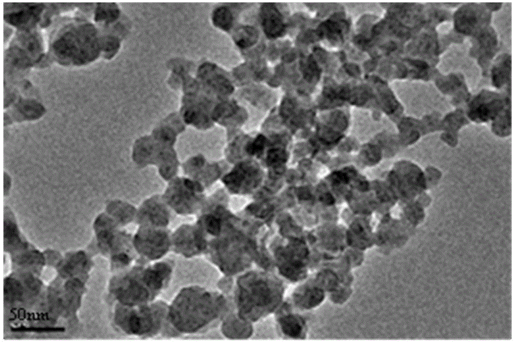 Method for detecting mitoxantrone based on molecularly imprinted polymer with quantum dot ratio fluorescence performance