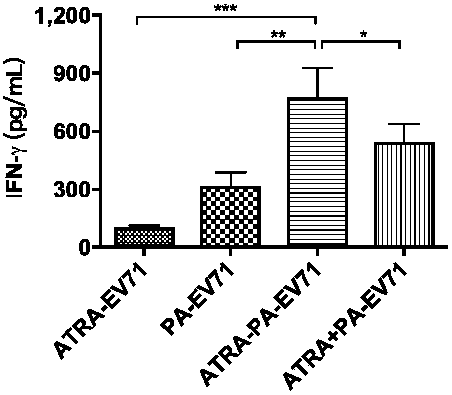 Granular type adjuvant as well as preparation method and application thereof