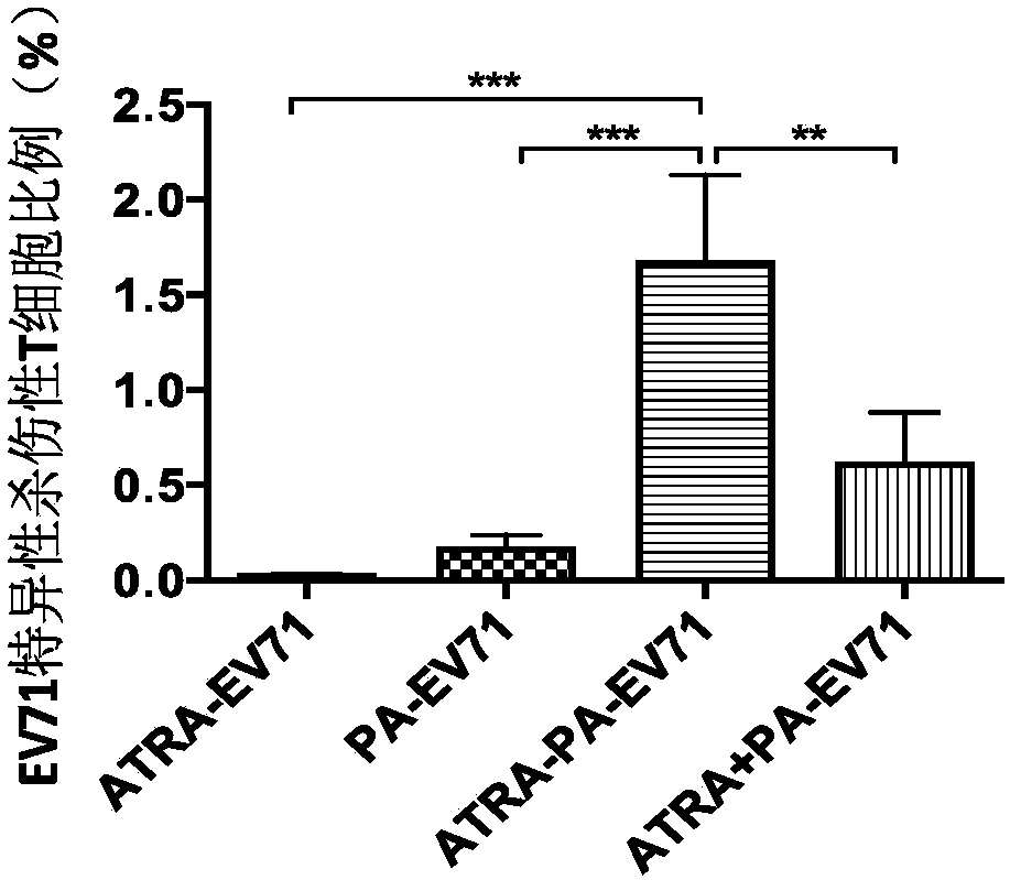 Granular type adjuvant as well as preparation method and application thereof