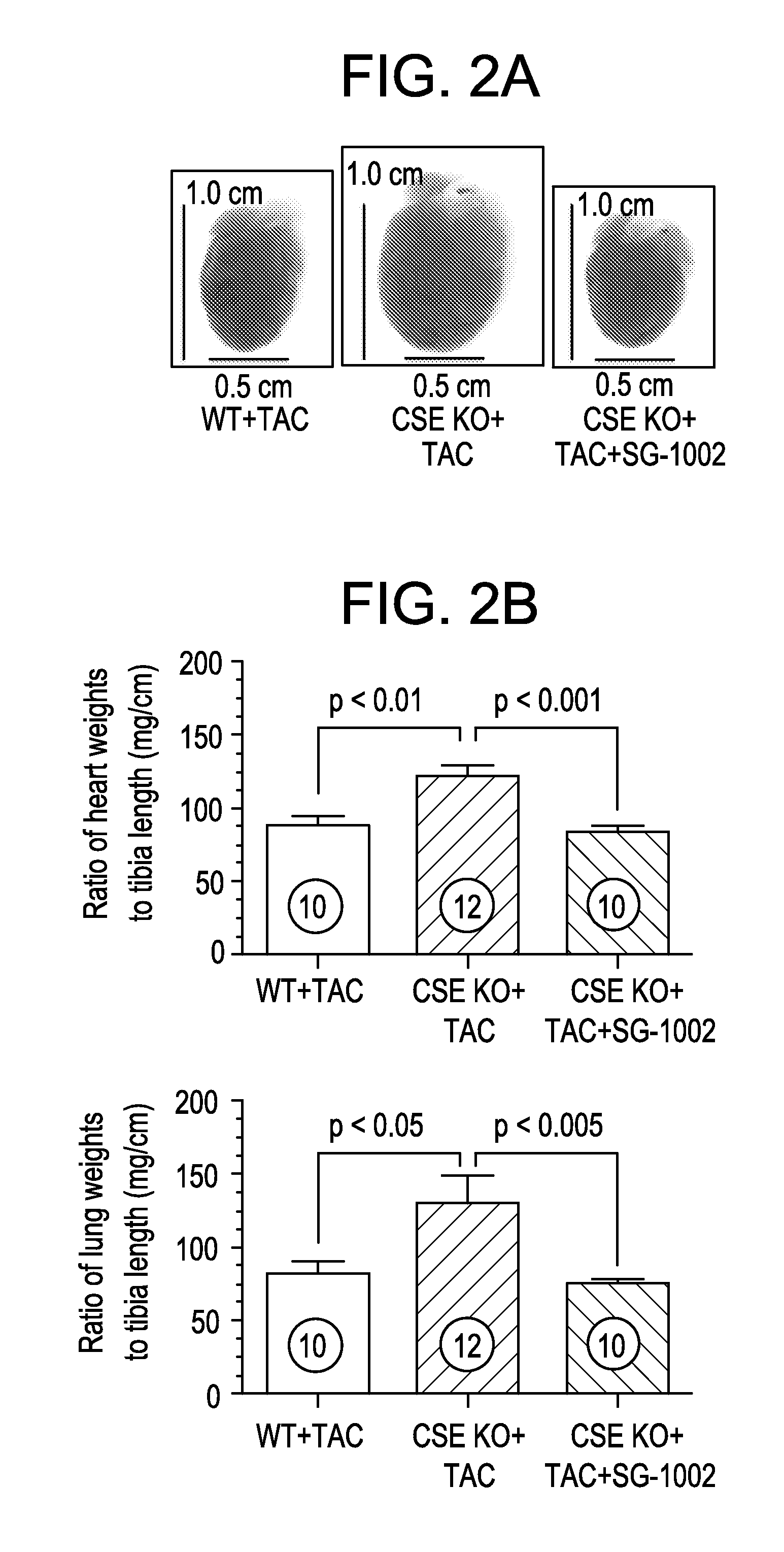 Preparation and compositions of highly bioavailable zerovalent sulfur and uses thereof