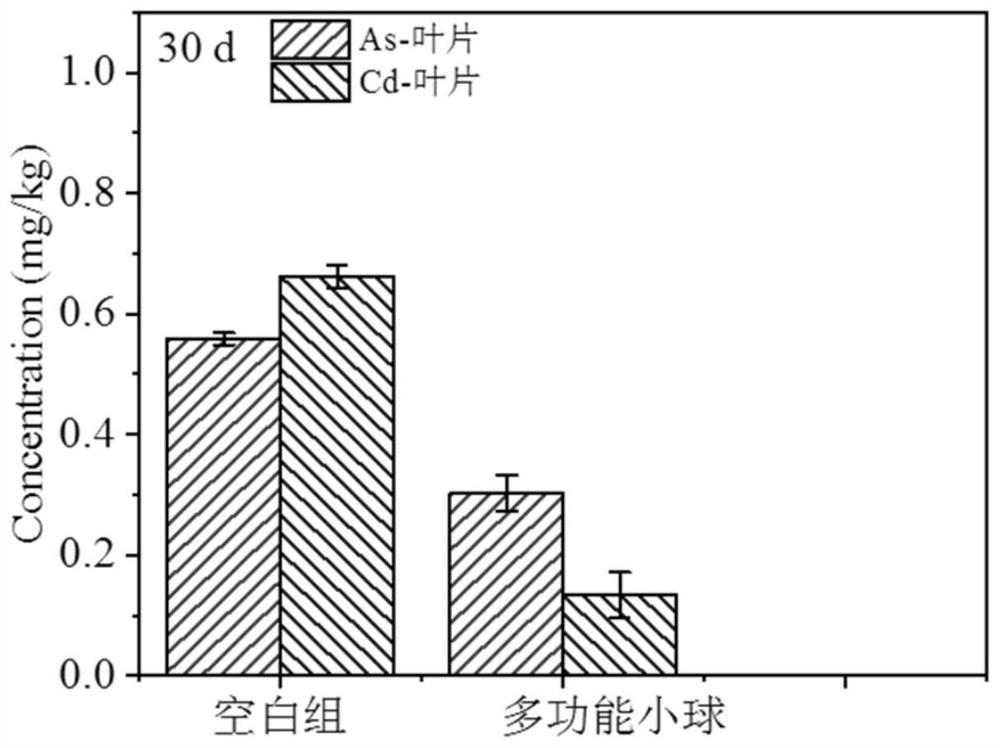 Preparation method and application of solidified microsphere type fertilizer for soil remediation