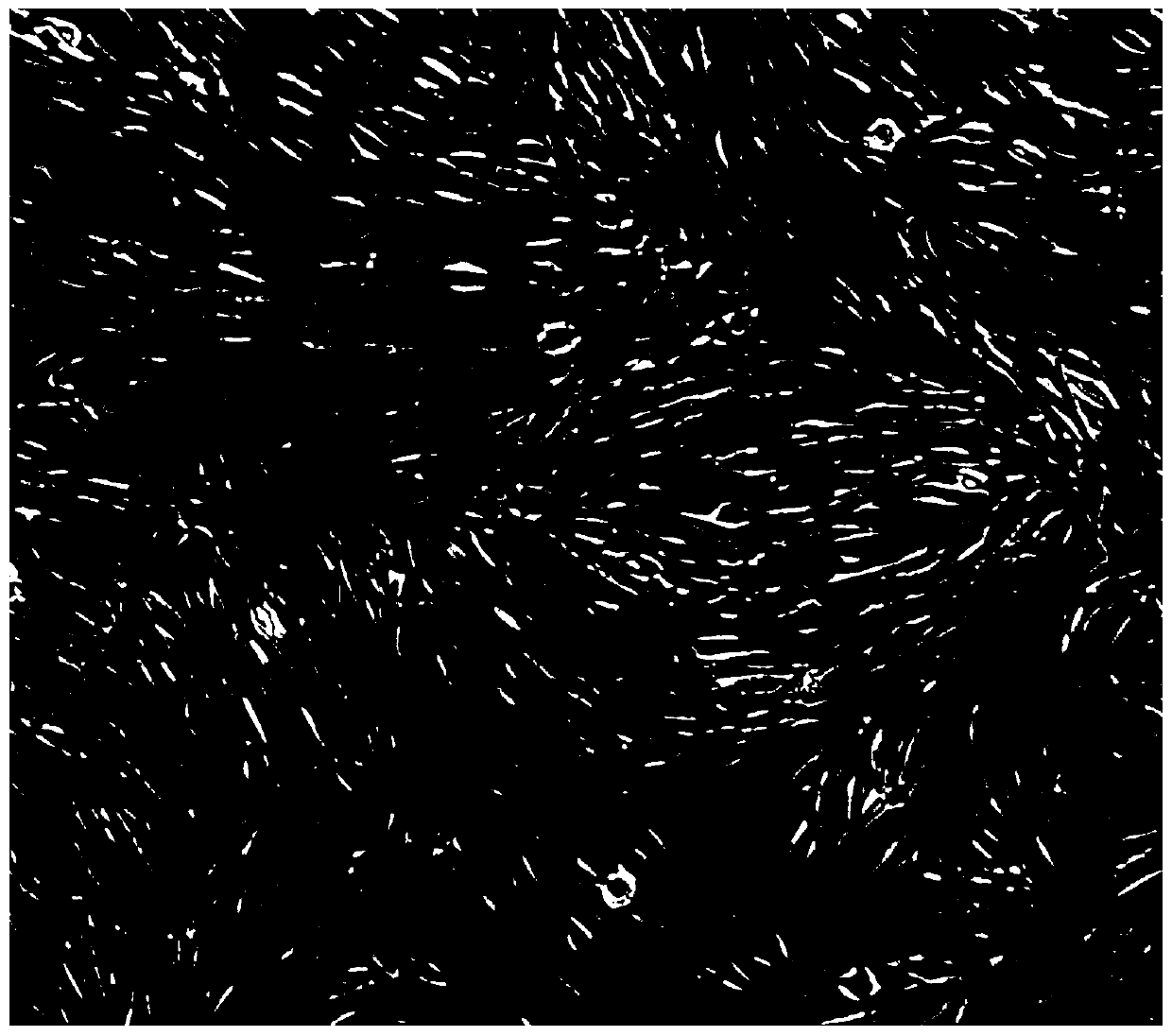 Lyceum barbarum polysaccharide-containing protective liquid and application method thereof for enhancing adaption of mesenchymal stem cells to in vivo pathologic microenvironment