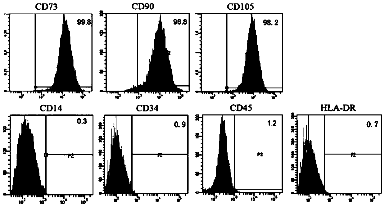 Lyceum barbarum polysaccharide-containing protective liquid and application method thereof for enhancing adaption of mesenchymal stem cells to in vivo pathologic microenvironment