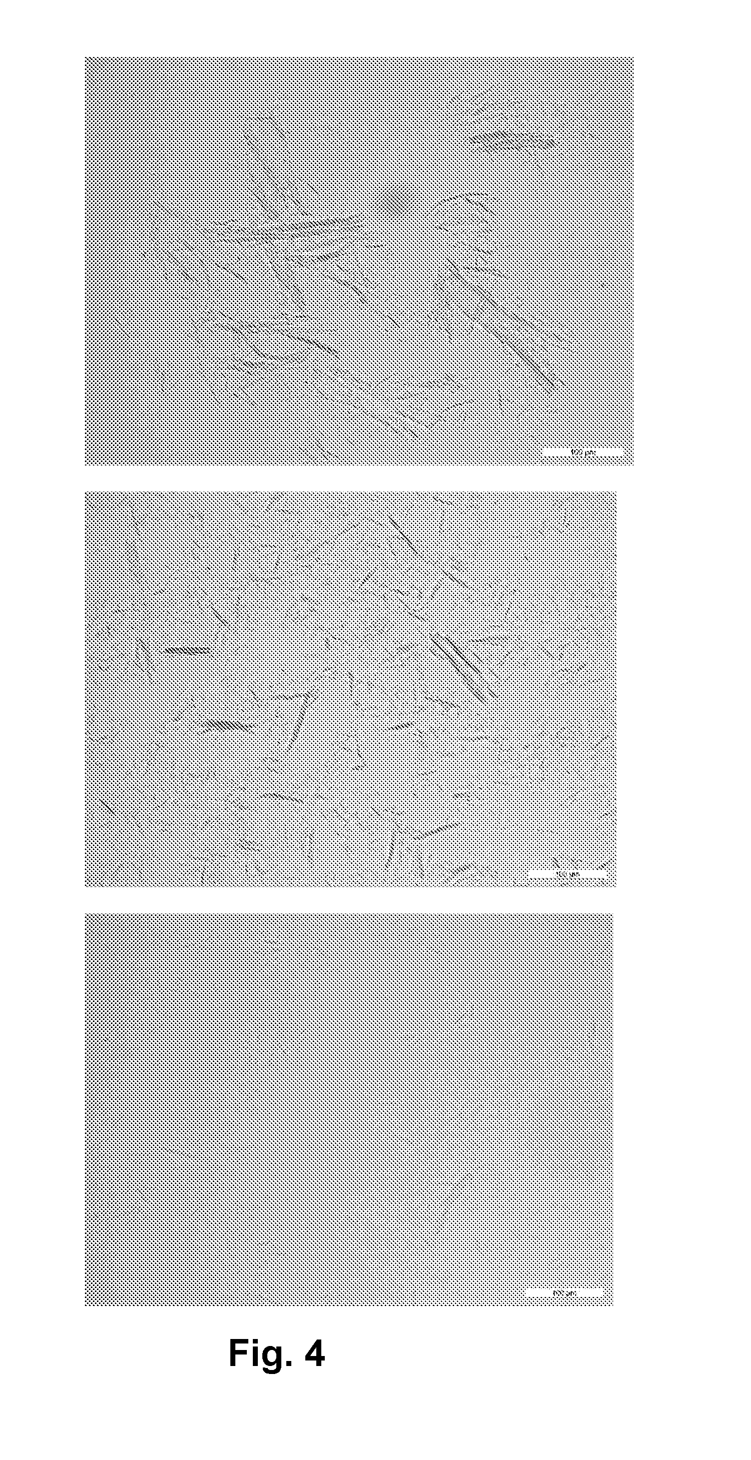 A method of producing oxidized or microfibrillated cellulose