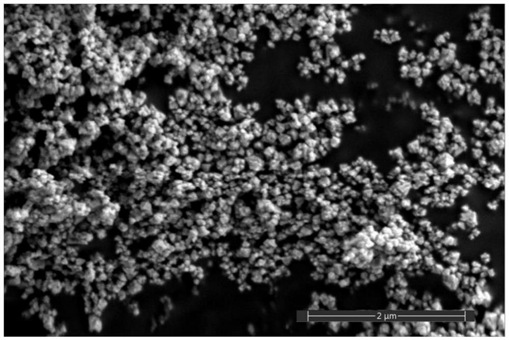 Cobalt oxide for coating positive electrode material of lithium battery and preparation method thereof