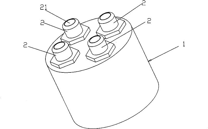 Integrated drainage valve