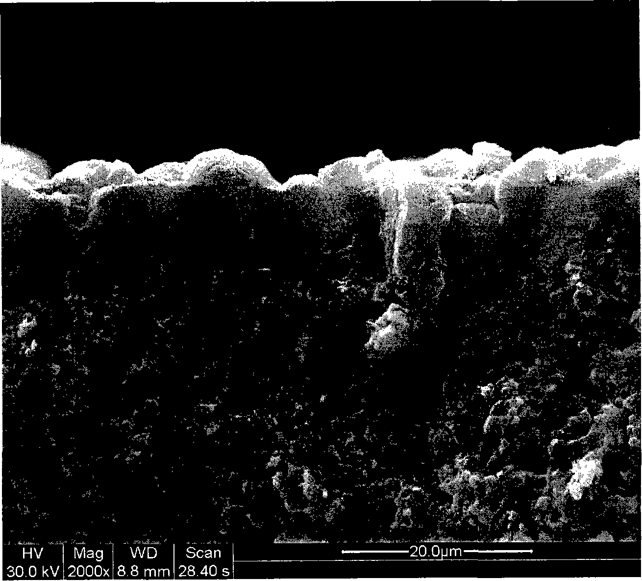 Method for preparing high-performance Y type molecular sieve film and application of the same in organic mixture separation