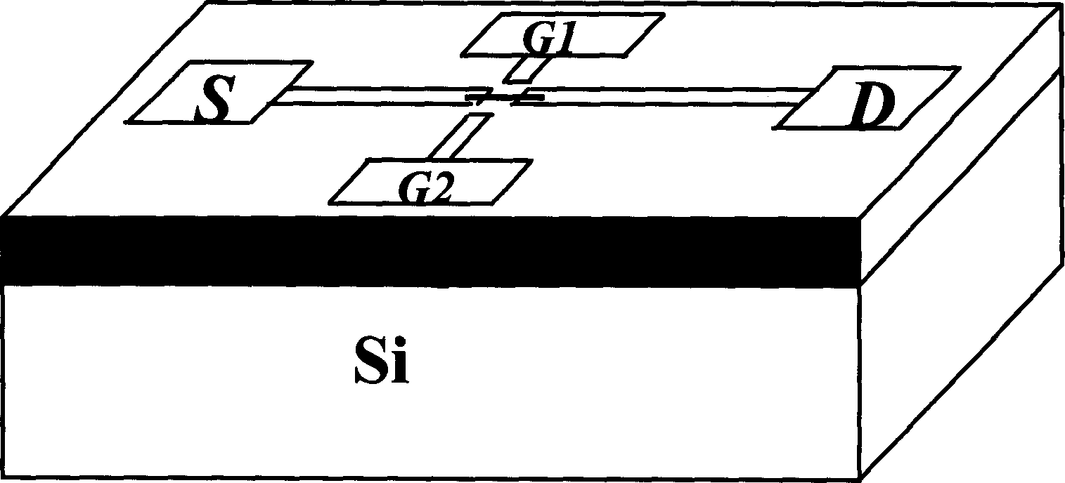 Method for fabricating transistor of single electron based on Nano carbon tubes