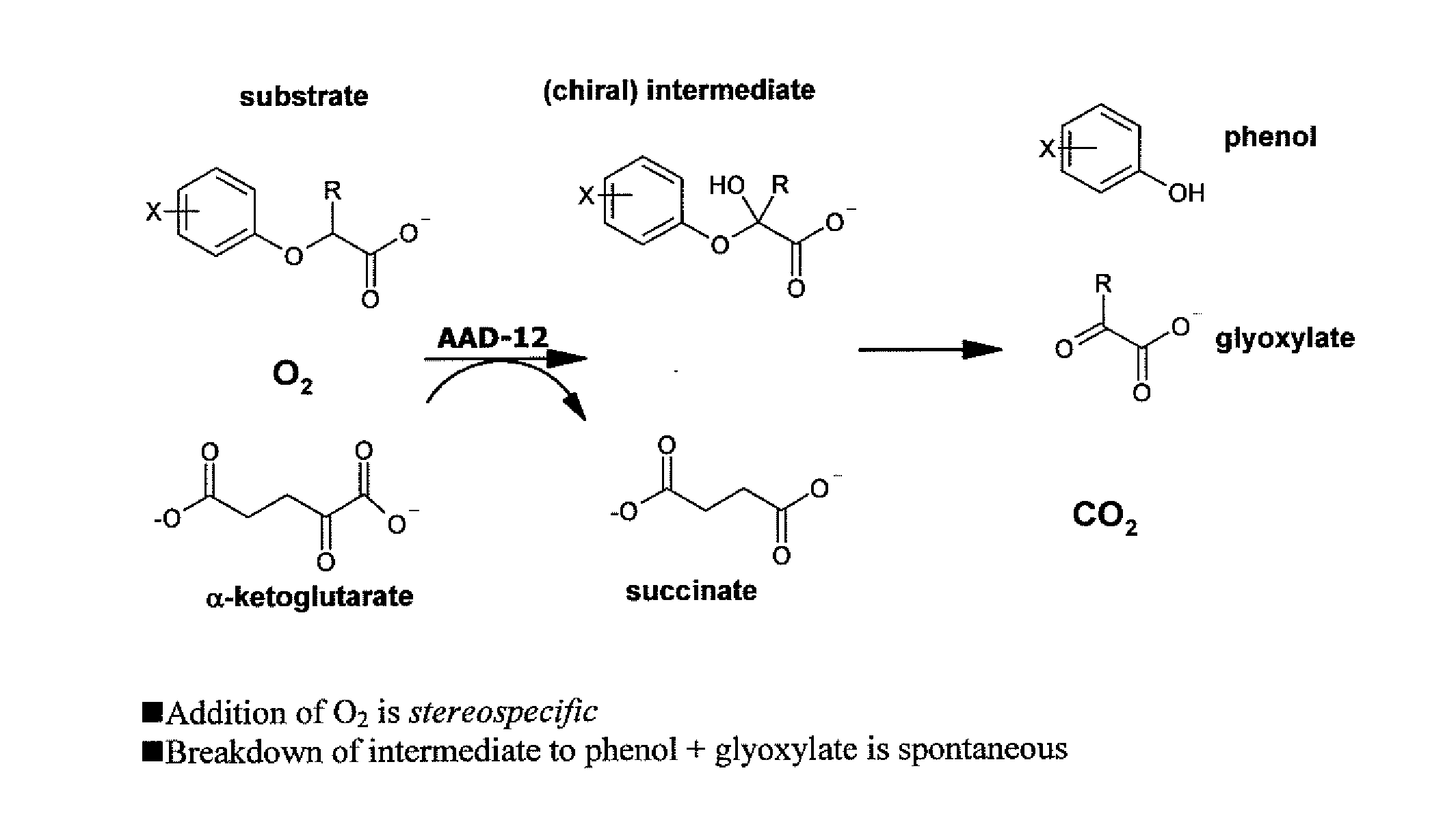 Novel Herbicide Resistance Genes