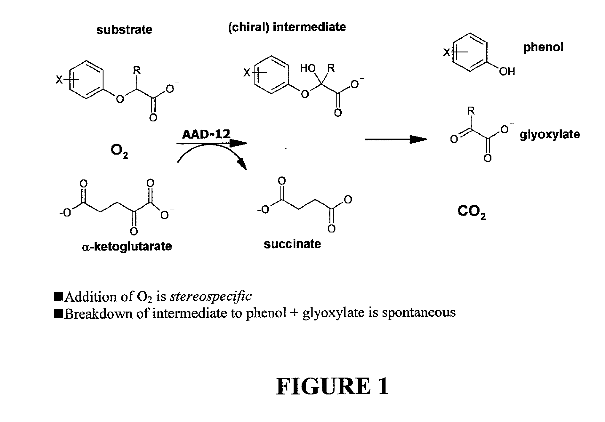 Novel Herbicide Resistance Genes